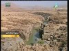 الدب الرمادي(عالم الإفتراس)