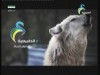 الحلقة الخامسة(لقطات برية)