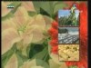 زهرة الأداليا(أزهار وحكايات)