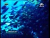 الحلقة 2 (ما وراء الأفق)