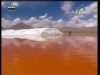 ضئيلة وسط مناظق شاسعة  (الشواطئ المنسية)