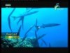 بحيرة سان اغناسيو