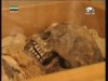 قصة الملك الطفل(عالم الألغاز)