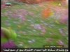 الحلقة 6 (اكتشف مع حمد)