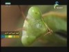 قصة الحياة علي الأرض2(قلب الطبيعة)