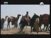 رملة بنت ابو سفيان (نساء عصر النبوة)