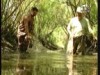 طاقة المياة (البيئة والتكنولوجيا)