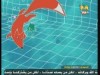 الياقوت النائم ( عائلة الثعالب)