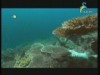 الجزيرة الغامضة 2 (ألغاز المحيطات)