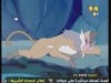 الحلقة  28 (القرد المغامر)